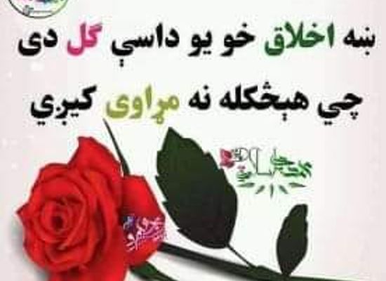 pakistan/abbottabad/shop/raza-cosmetics-and-shoes-shop