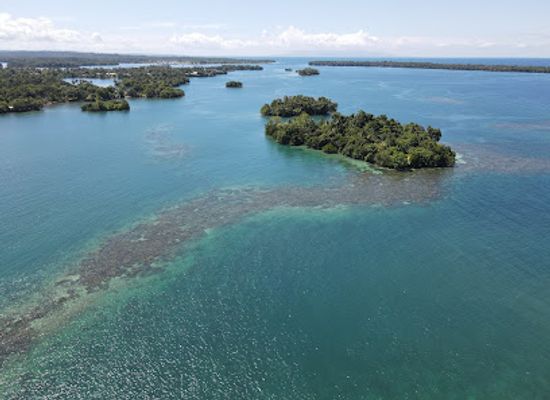 papua-new-guinea/madang-region/shop/rd-tuna-canners-ltd