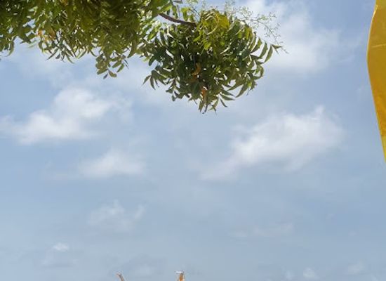 maldives/thaa-atoll/shop/a-k-store