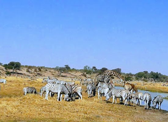 botswana/makgadikgadi-pans-national-park/shop/makgadikgadi-pans-national-park