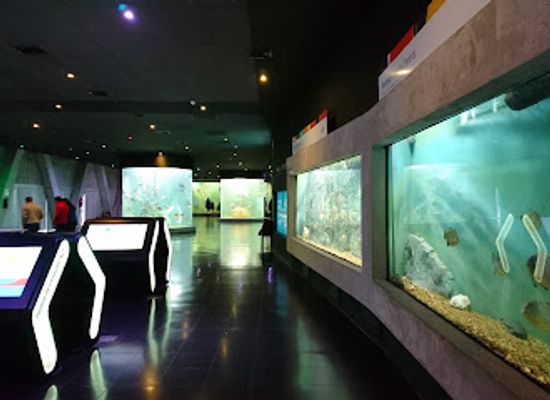 argentina/rosario/shop/acuario-del-rio-parana