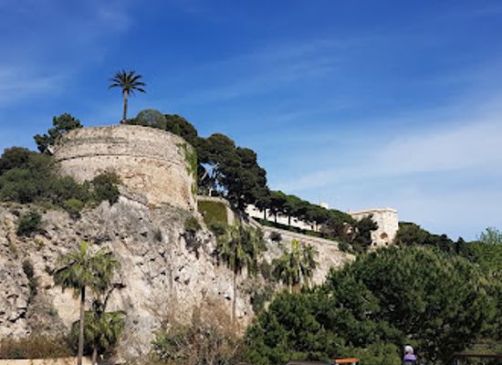 monaco/cap-d-ail-beach/shop/kiwi-saint-tropez