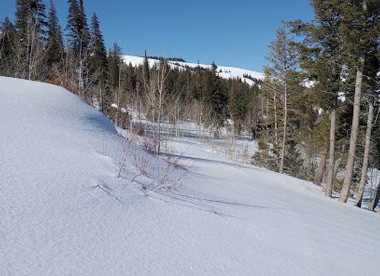 idaho/magic-valley/shop/sawtooth-national-forest