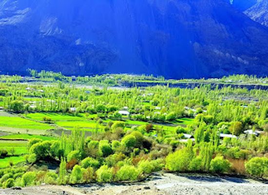 pakistan/malakand-division/shop/ladies-shopping-centre-burushandah