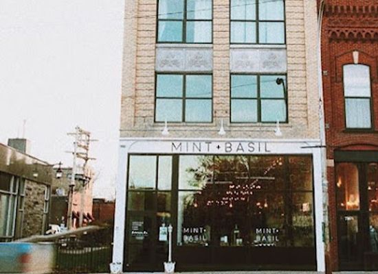 north-dakota/fargo/fargo-moorhead/shop/mint-basil