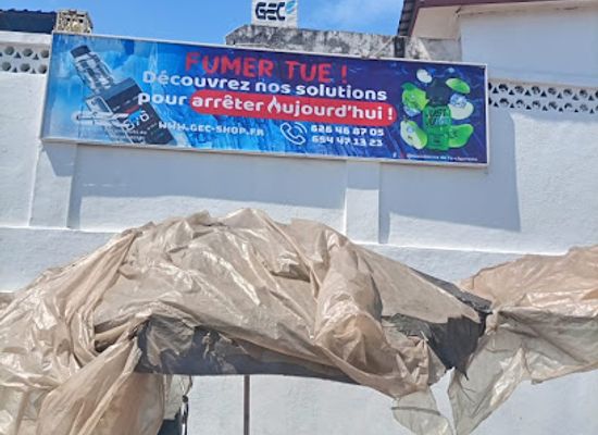 guinea/upper-guinea/shop/guineenne-de-l-e-cigarette
