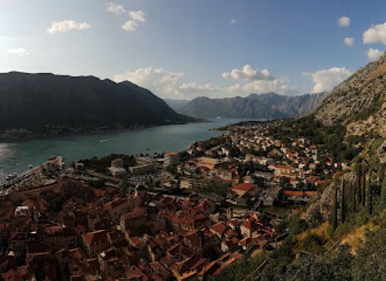 montenegro/durmitor/shop/cats-of-kotor