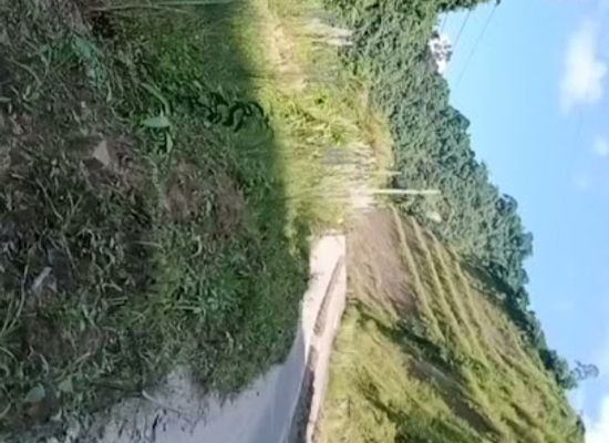 india/itanagar/shop/arunachal-market