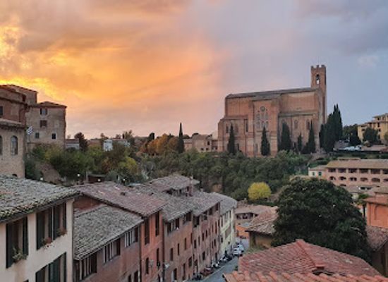 italy/siena/shop/il-negozino-di-di-gaetano-emanuela