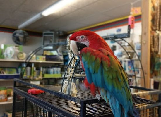 utah/richfield/shop/pets-n-stuff