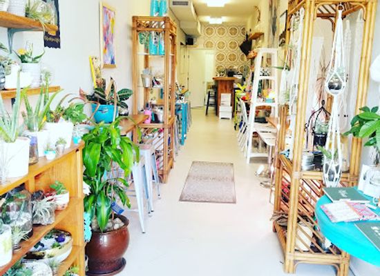 virginia/northern-neck/shop/grow-nnk