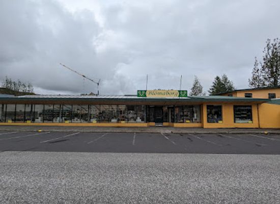 iceland/hveragerdi-area/shop/blomaborg-hverageroi
