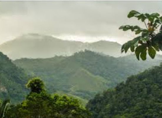 brazil/atlantic-forest/shop/atlantic-forest-biosphere-reserve