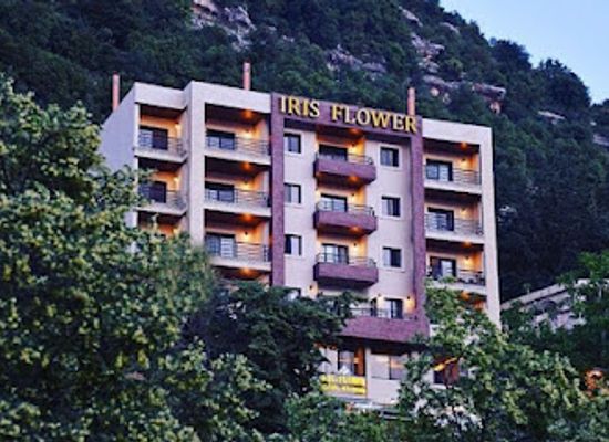 lebanon/jezzine/shop/iris-flower-hotel