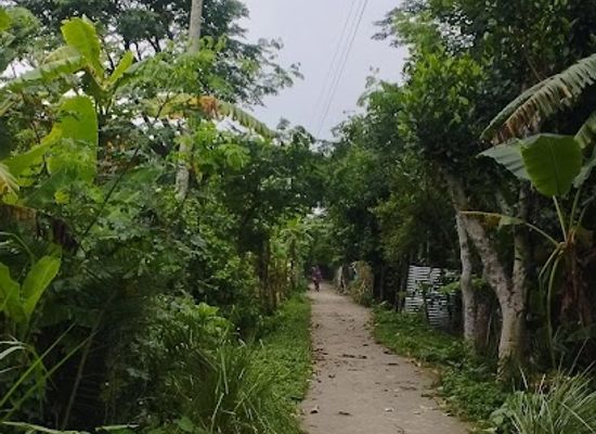 bangladesh/madhupur-tract/shop/shopping
