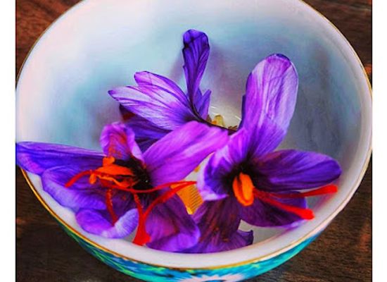 india/kashmir-great-lakes/shop/cashmere-organics