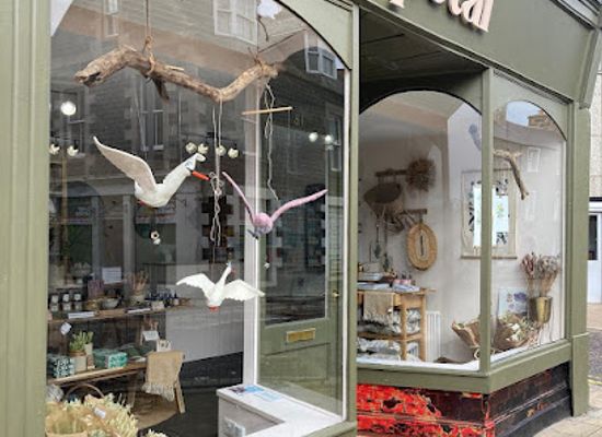 united-kingdom/banffshire/shop/petal-the-store