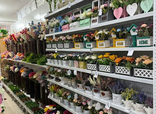 lebanon/hermel/shop/kachouh-stores