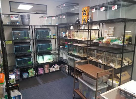 colorado/san-luis-valley/shop/alamosa-exotic-pets-llc