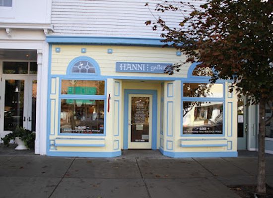 michigan/harbor-springs/shop/hanni-gallery