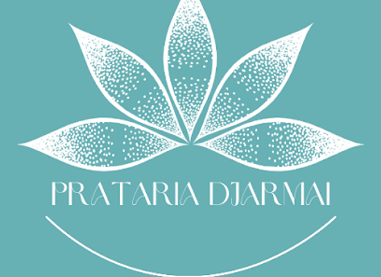 cabo-verde/vila-do-maio/shop/prataria-djarmai