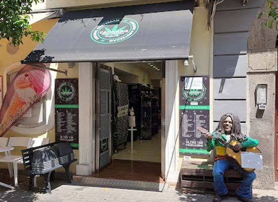 italy/sorrento/shop/cannabis-store-amsterdam-sorrento