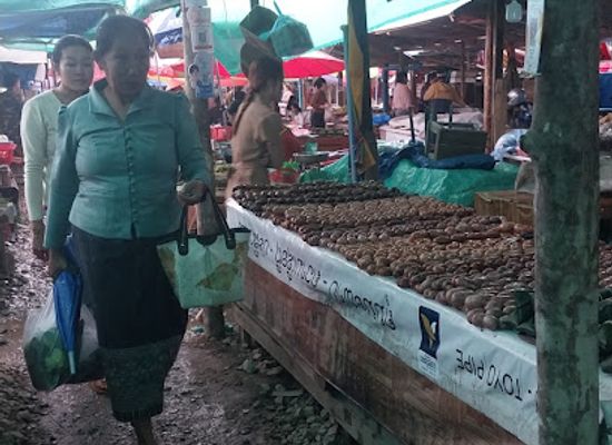 laos/xieng-khouang-plateau/shop/3