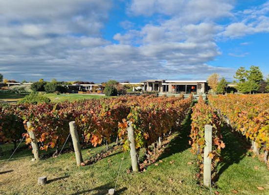 argentina/mendoza-wine-region/shop/the-vines-of-mendoza-tasting-room