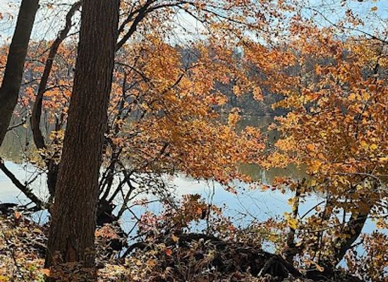 delaware/lums-pond-state-park/shop/lums-pond
