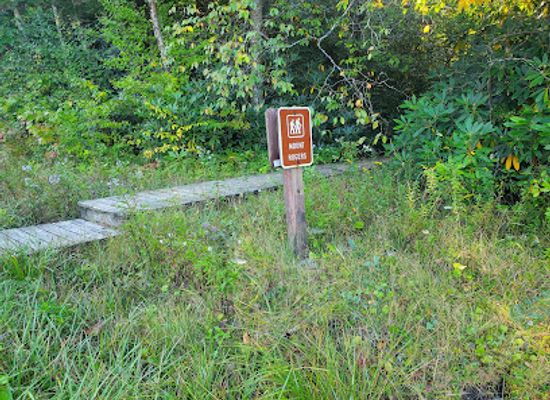virginia/mount-rogers-national-recreation-area/shop/mount-rogers-and-appalachian-trail-loop