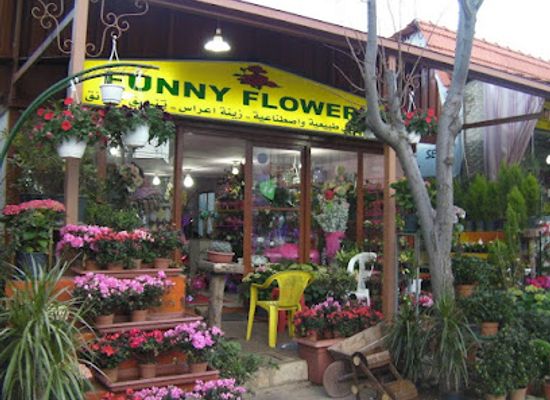 lebanon/jezzine/shop/fani-flowers-jezzine