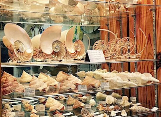 florida/marco-island/shop/shore-goods