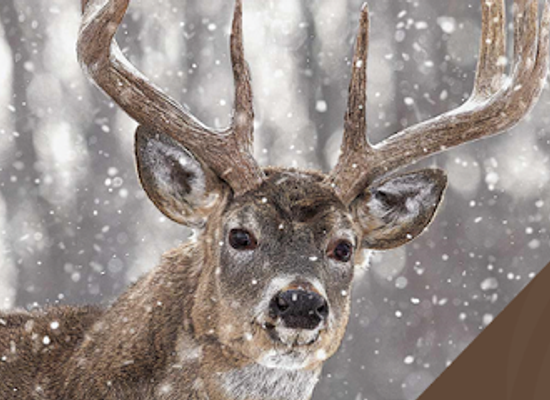 nebraska/southeast-nebraska/shop/heartland-outdoors-llc