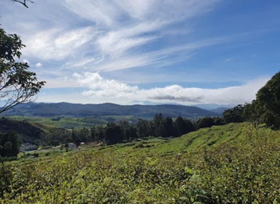 sri-lanka/hill-country/shop/hill-country-hiker