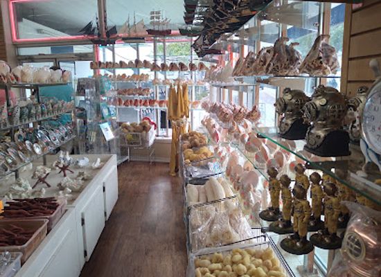florida/tampa-bay-area/shop/greek-island-import-export