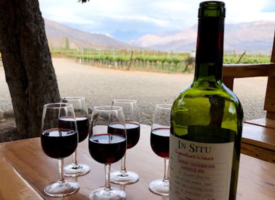 chile/valparaiso-region/shop/in-situ-family-vineyards