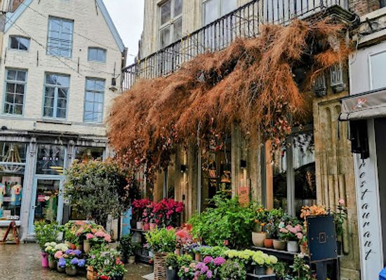 belgium/leuvense-vaart/shop/mixte