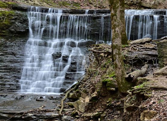 tennessee/duck-river-valley/shop/jackson-falls