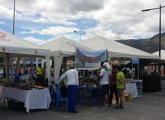 ecuador/imbabura-region/shop/plaza-shopping-center