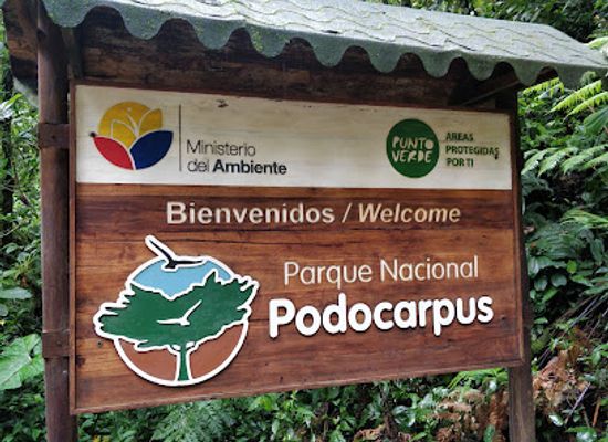 ecuador/zamora-chinchipe-region/shop/parque-nacional-podocarpus