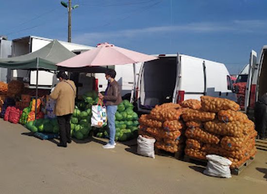 romania/brasov/stupini/shop/angro-stupini
