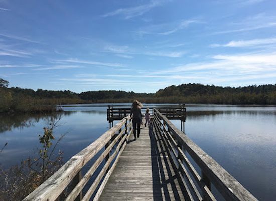 delaware/the-lewes-and-rehoboth-canal-area/shop/prime-hook-national-wildlife-refuge