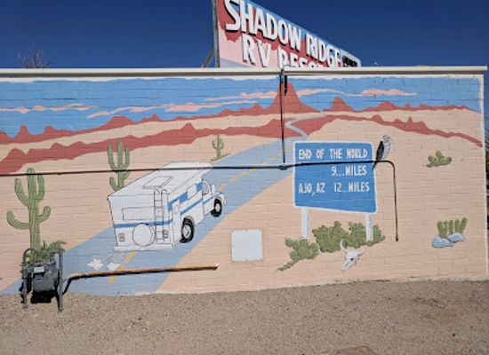 arizona/organ-pipe-cactus-national-monument/shop/shell