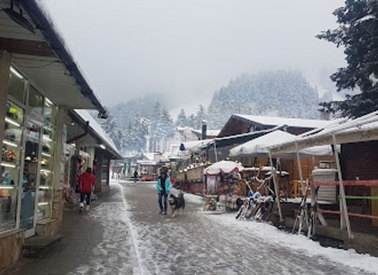 bulgaria/borovets/shop/ski-board-traventuria-royal-borovets