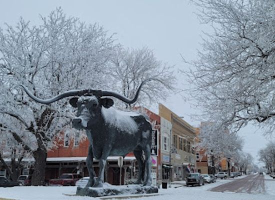 kansas/dodge-city/shop/hidden-butterfly-thrift-store
