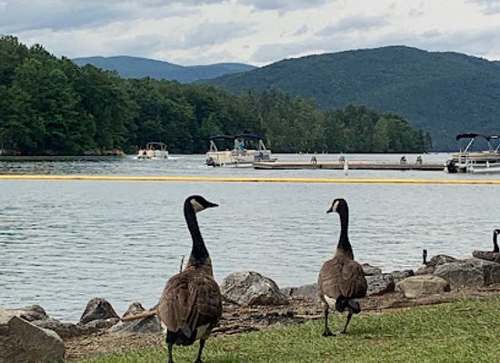 south-carolina/lake-jocassee/shop/lake-jocassee-devils-point-1-access
