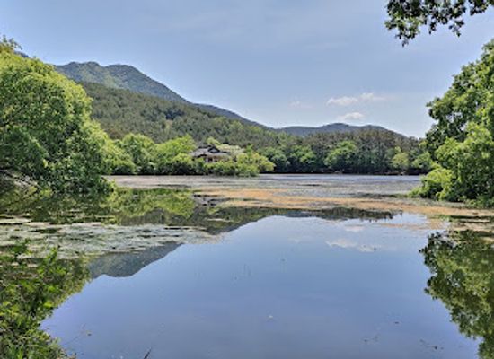 south-korea/miryang-valley/shop/wiyangji