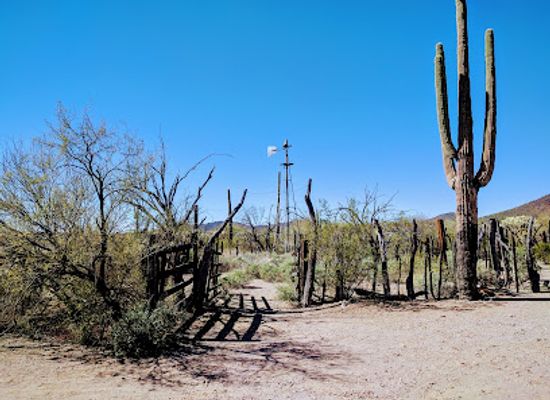 arizona/organ-pipe-cactus-national-monument/shop/bonita-well