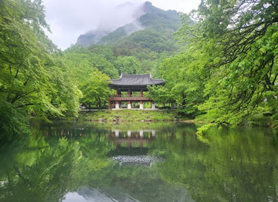 south-korea/naejangsan-national-park/shop/naejangsan-baegyangsa-district-national-park