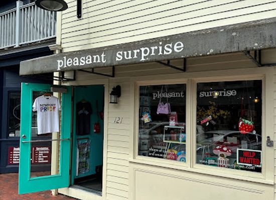 rhode-island/newport-cliff-walk/shop/pleasant-surprise